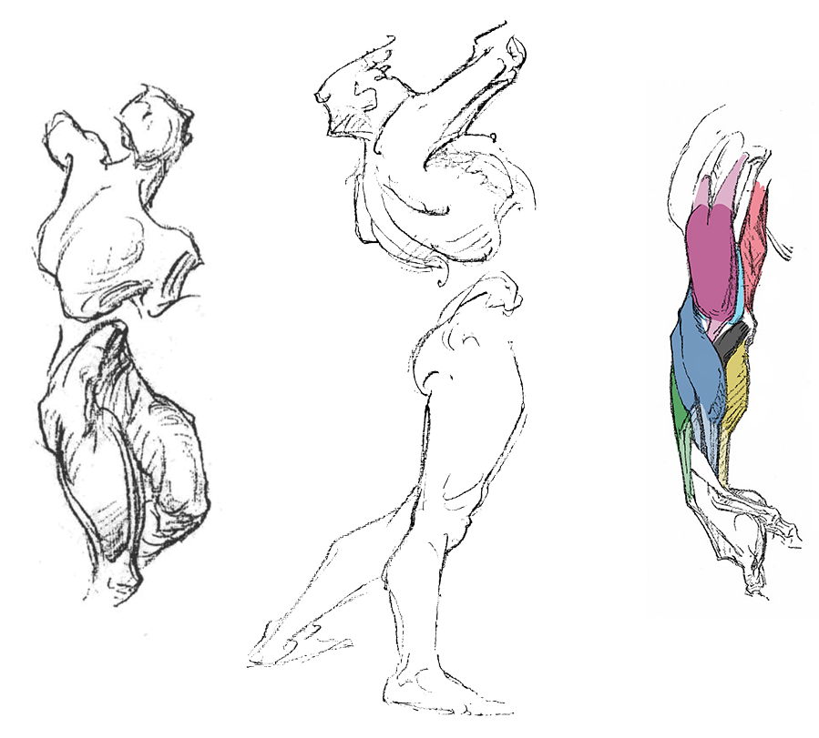 Two figure drawings and an anatomy study of the arm by George Bridgman